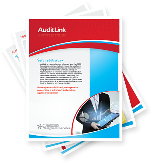 AuditLink overview brochure